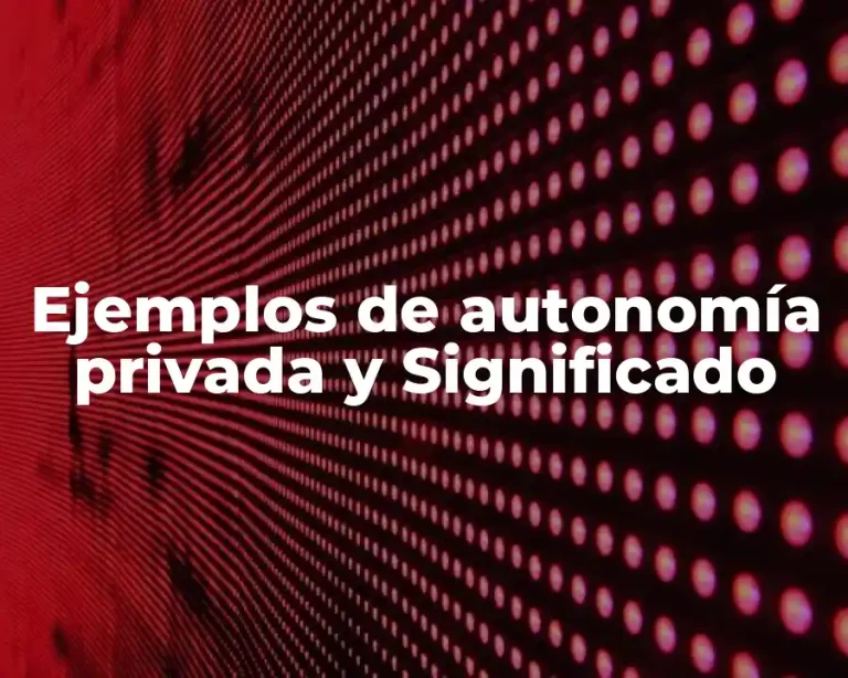Ejemplos de autonomía privada y Significado