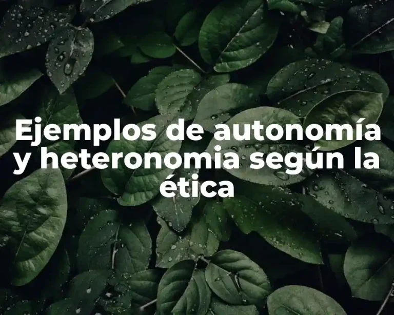 Ejemplos de autonomía y heteronomia según la ética