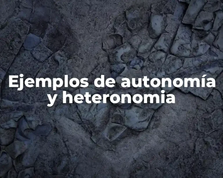 Ejemplos de autonomía y heteronomia