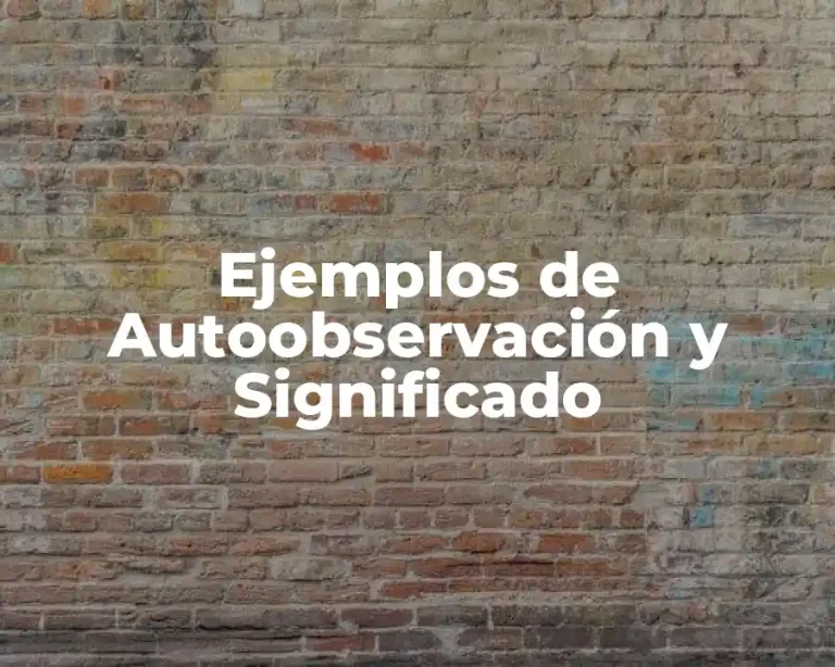 Ejemplos de Autoobservación y Significado