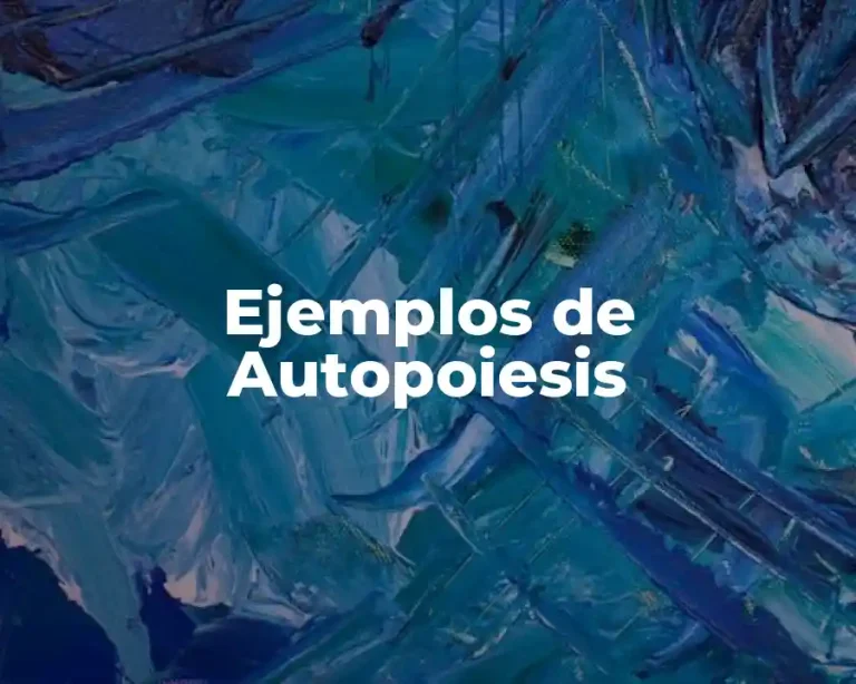 Ejemplos de Autopoiesis