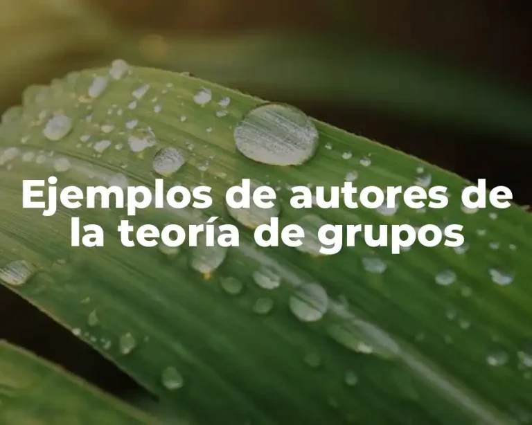 Ejemplos de autores de la teoría de grupos