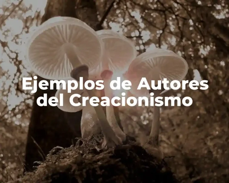 Ejemplos de Autores del Creacionismo