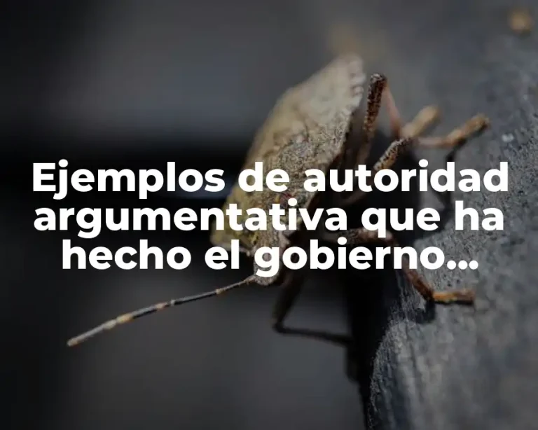 Ejemplos de autoridad argumentativa que ha hecho el gobierno mexicano y Significado