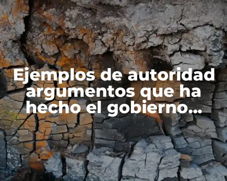 Ejemplos de autoridad argumentos que ha hecho el gobierno mexicano
