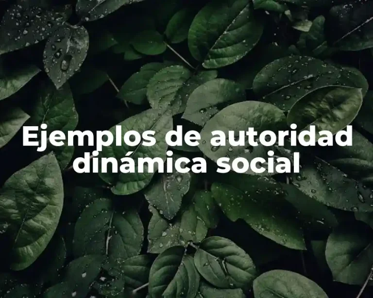 Ejemplos de autoridad dinámica social