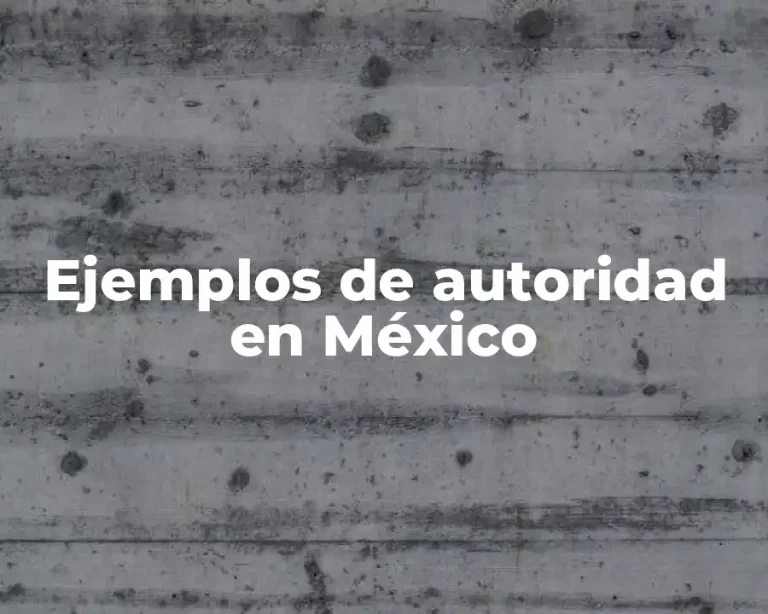 Ejemplos de autoridad en México