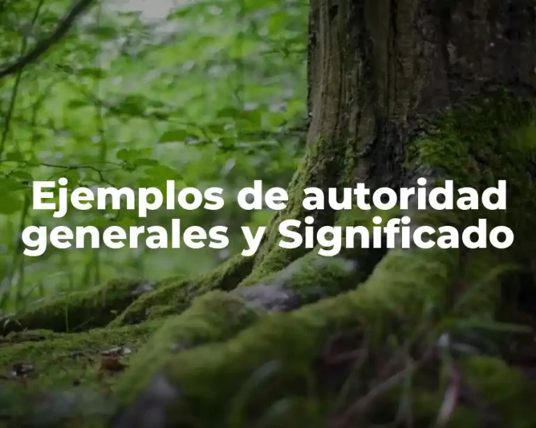 Ejemplos de autoridad generales y Significado