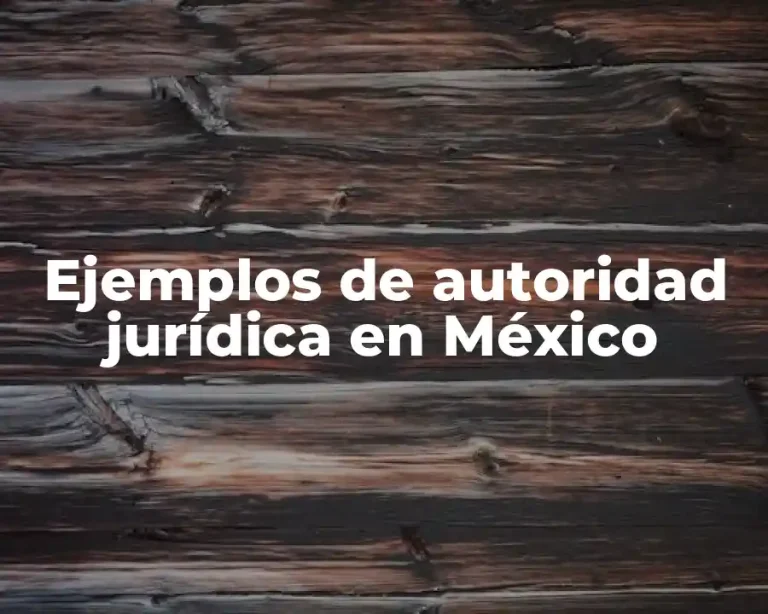 Ejemplos de autoridad jurídica en México