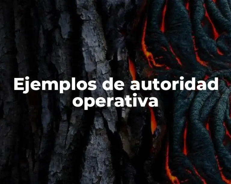 Ejemplos de autoridad operativa