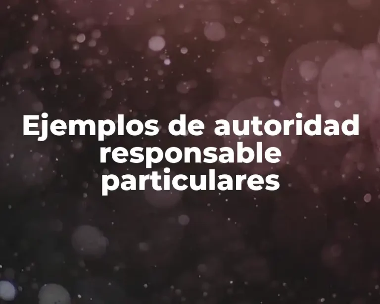 Ejemplos de autoridad responsable particulares