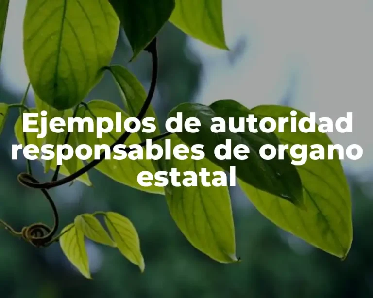 Ejemplos de autoridad responsables de organo estatal