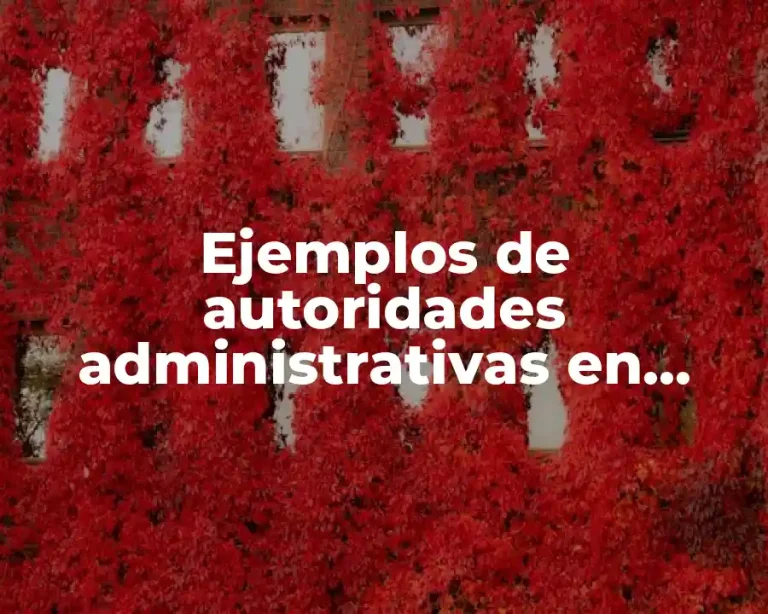 Ejemplos de autoridades administrativas en México
