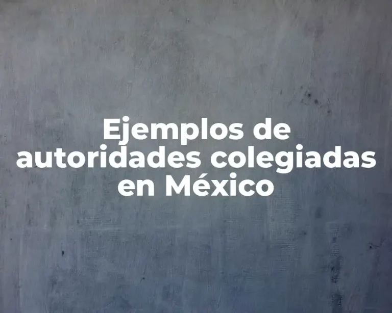 Ejemplos de autoridades colegiadas en México
