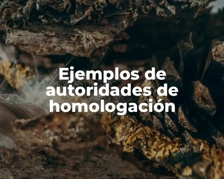 Ejemplos de autoridades de homologación