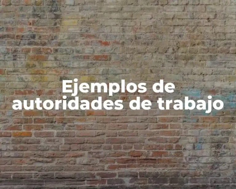 Ejemplos de autoridades de trabajo