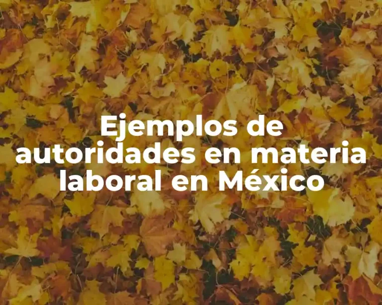 Ejemplos de autoridades en materia laboral en México