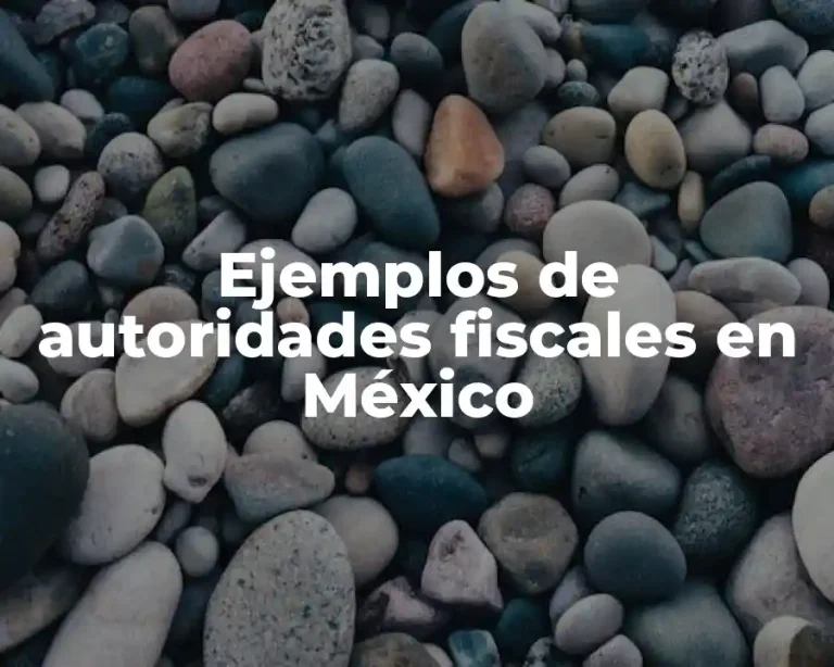 Ejemplos de autoridades fiscales en México