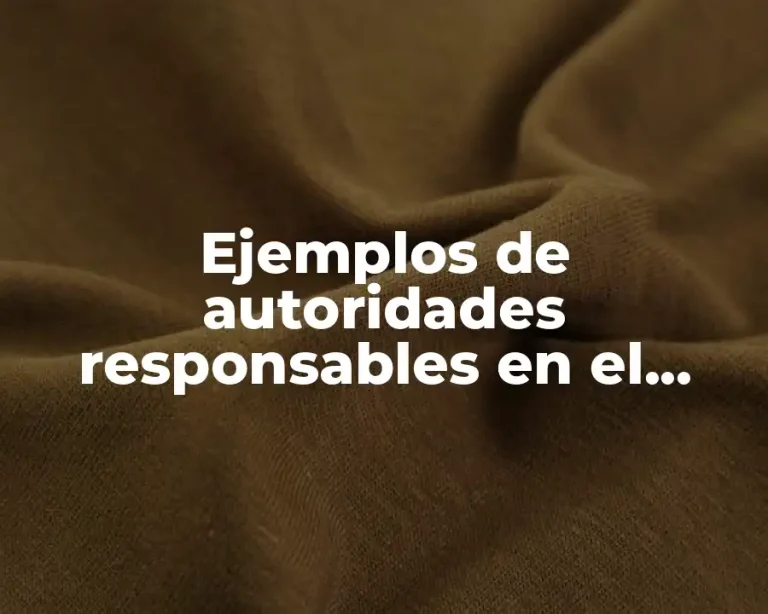 Ejemplos de autoridades responsables en el juicio de amparo