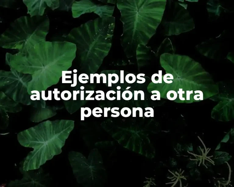 Ejemplos de autorización a otra persona