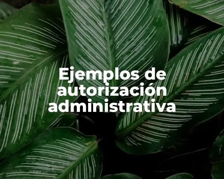 Ejemplos de autorización administrativa