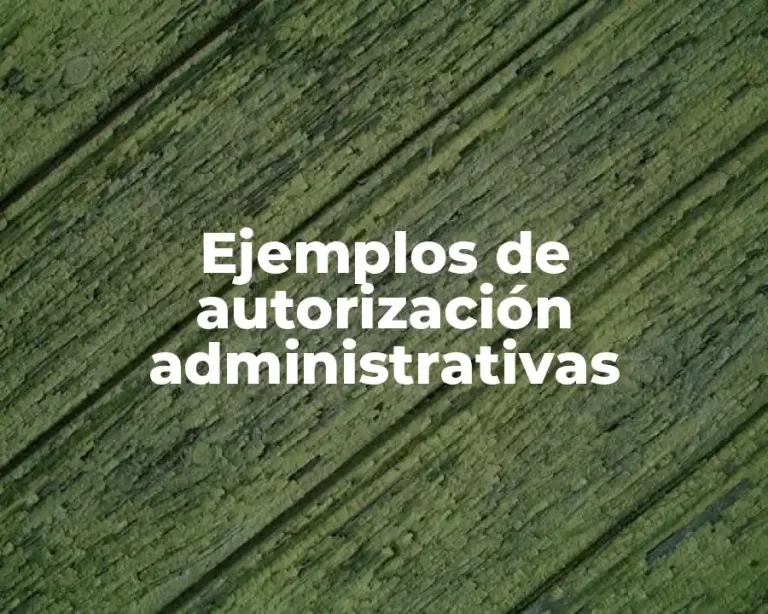 Ejemplos de autorización administrativas