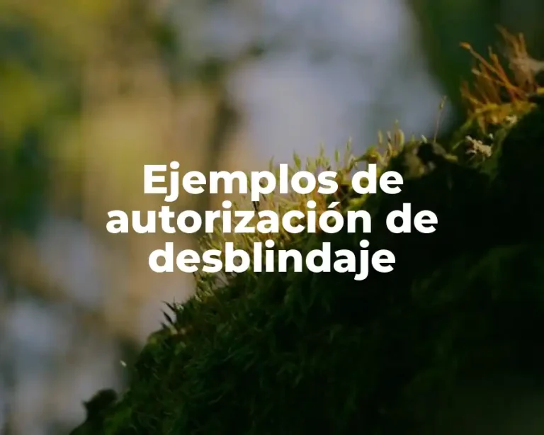 Ejemplos de autorización de desblindaje