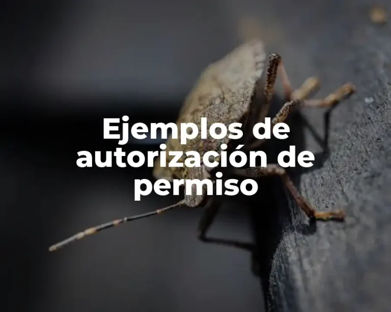 Ejemplos de autorización de permiso