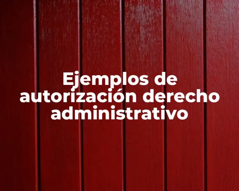 Ejemplos de autorización derecho administrativo
