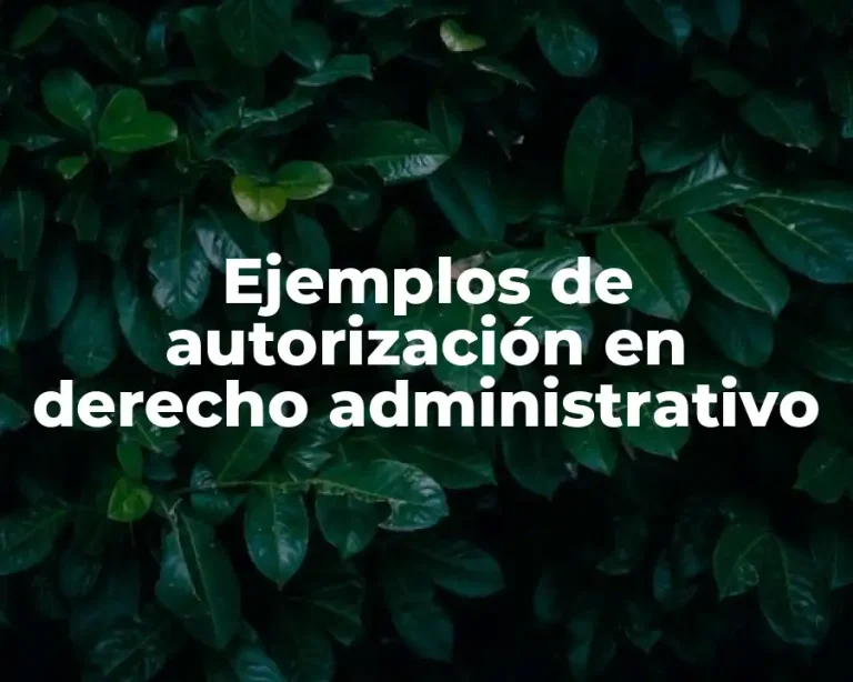 Ejemplos de autorización en derecho administrativo