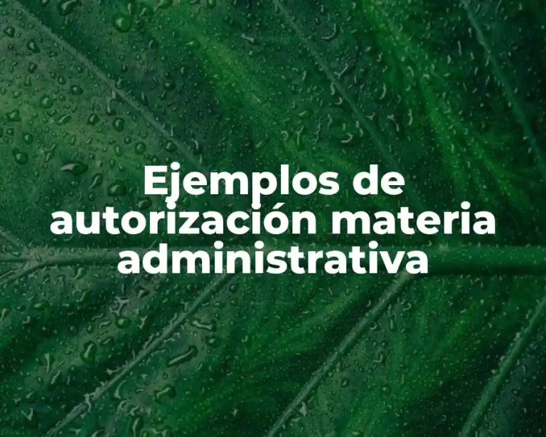 Ejemplos de autorización materia administrativa