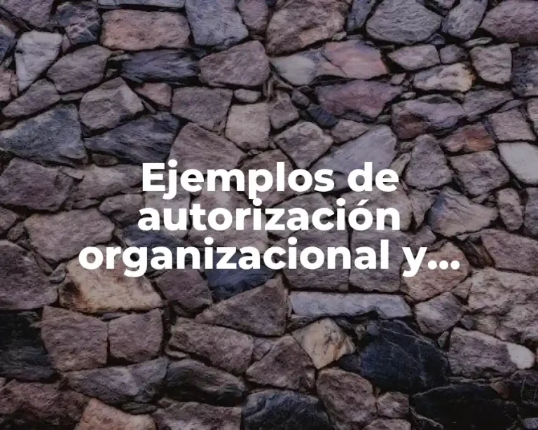 Ejemplos de autorización organizacional y Significado