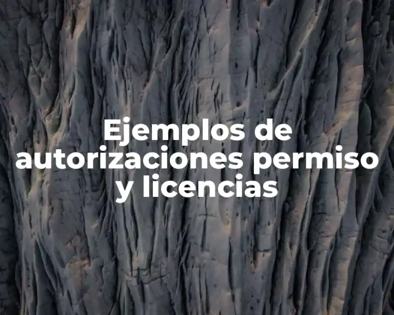 Ejemplos de autorizaciones permiso y licencias