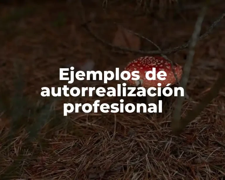 Ejemplos de autorrealización profesional