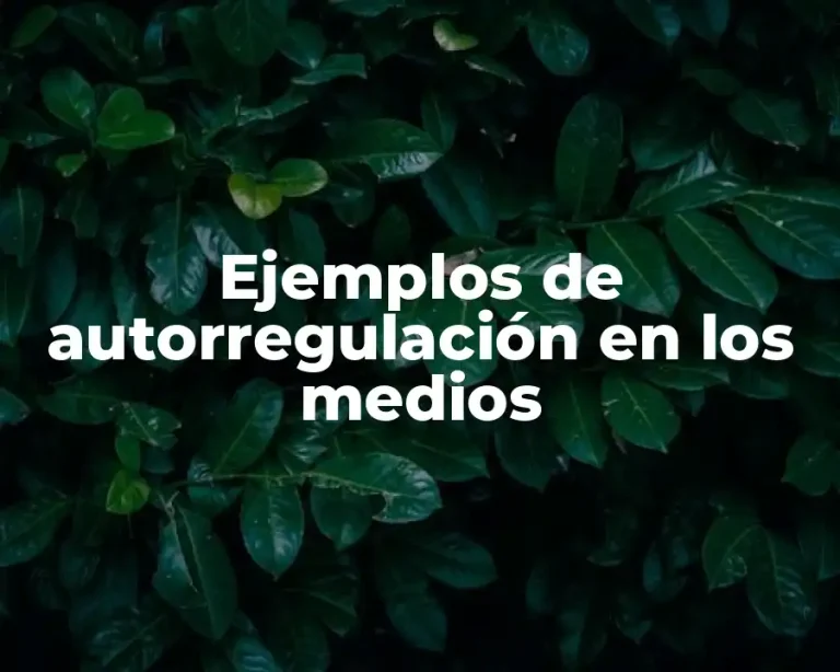 Ejemplos de autorregulación en los medios