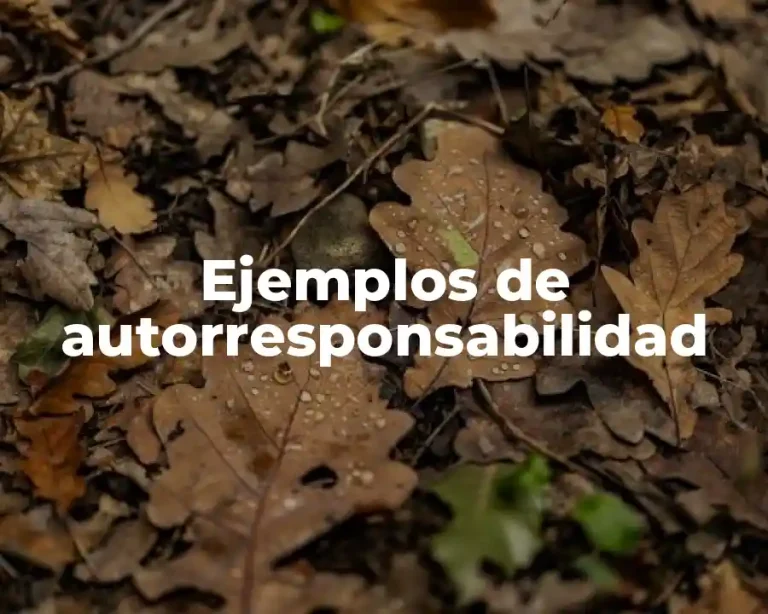 Ejemplos de autorresponsabilidad