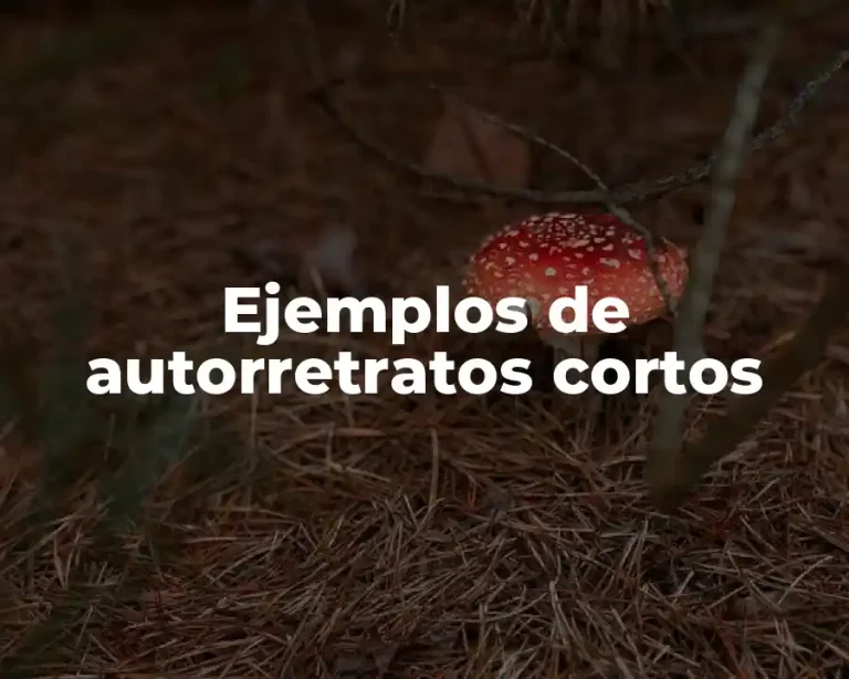 Ejemplos de autorretratos cortos