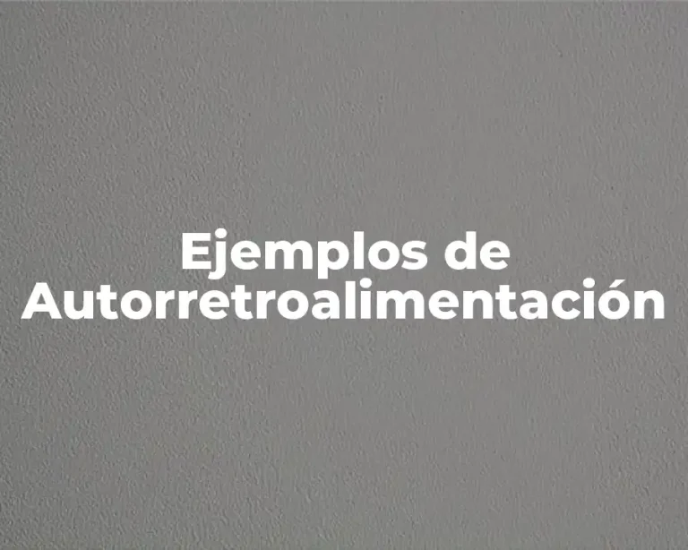 Ejemplos de Autorretroalimentación