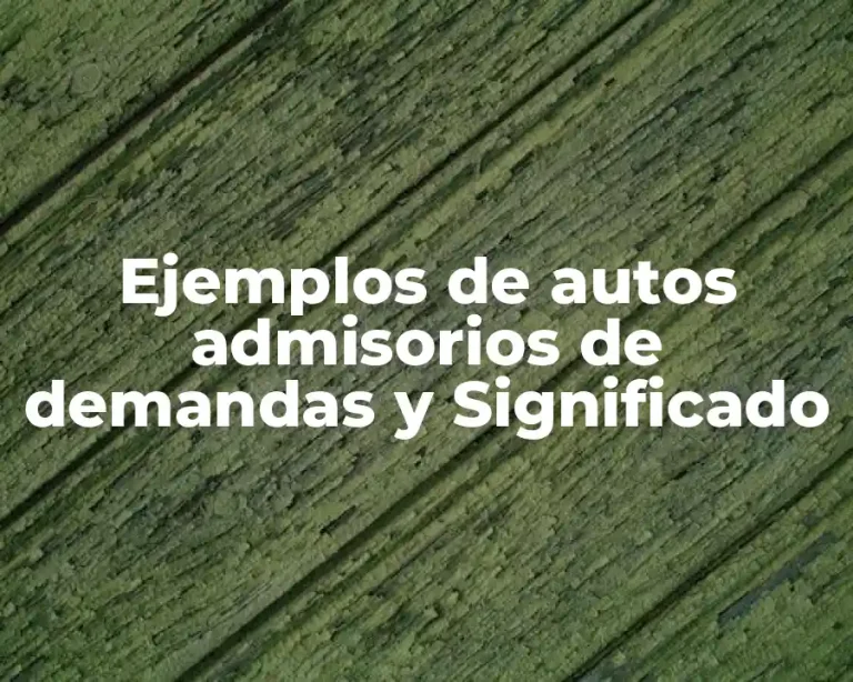 Ejemplos de autos admisorios de demandas y Significado