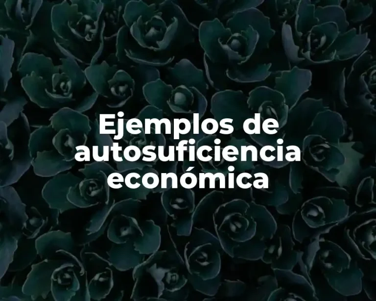 Ejemplos de autosuficiencia económica