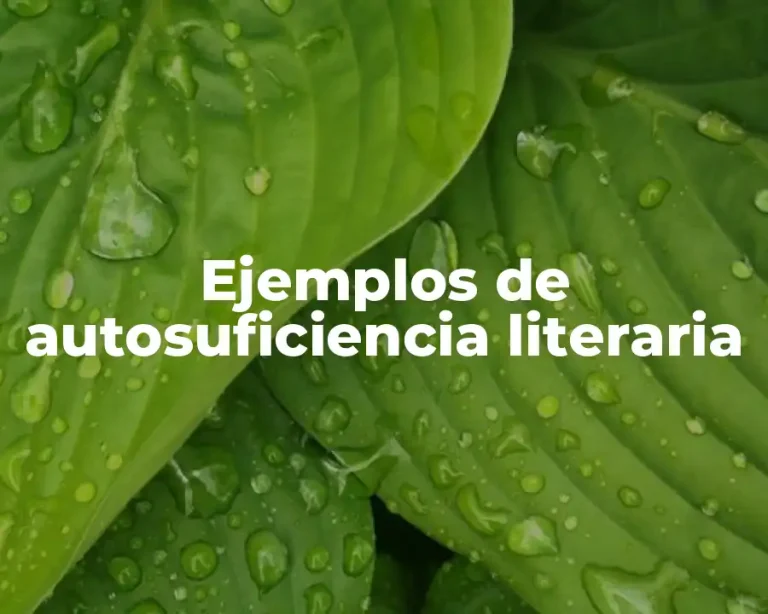 Ejemplos de autosuficiencia literaria