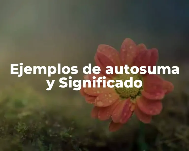 Ejemplos de autosuma y Significado