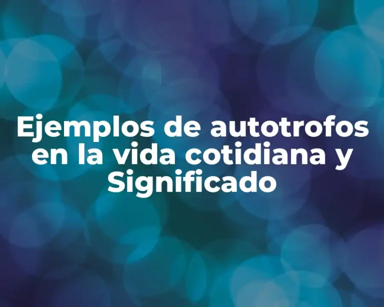 Ejemplos de autotrofos en la vida cotidiana y Significado
