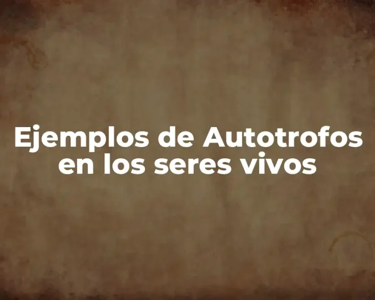 Ejemplos de Autotrofos en los seres vivos