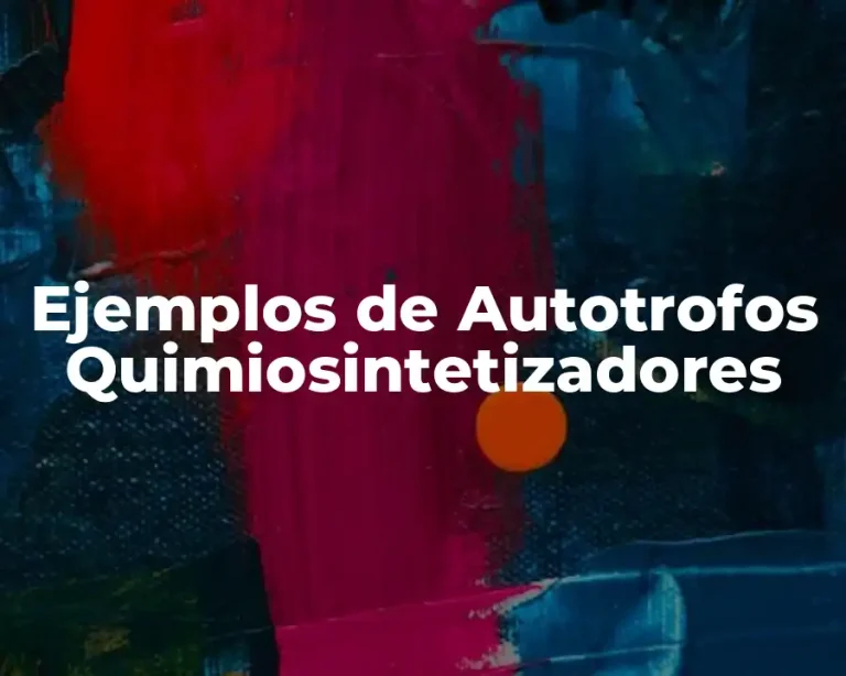 Ejemplos de Autotrofos Quimiosintetizadores