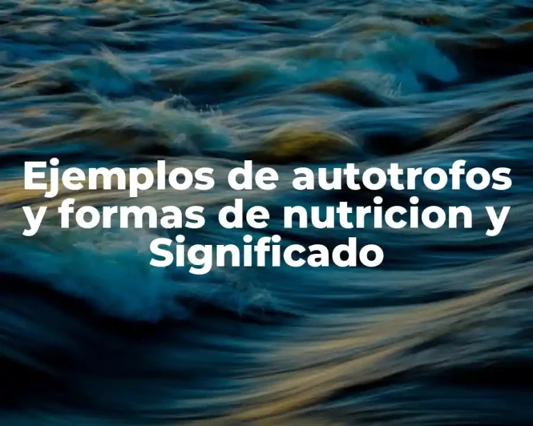 Ejemplos de autotrofos y formas de nutricion y Significado