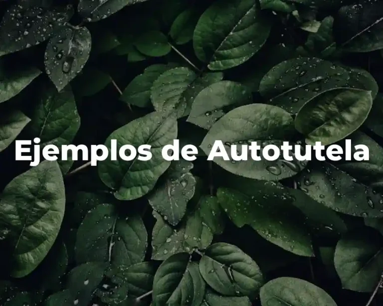 Ejemplos de Autotutela