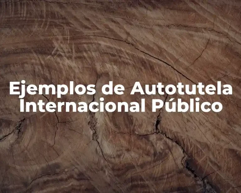 Ejemplos de Autotutela Internacional Público