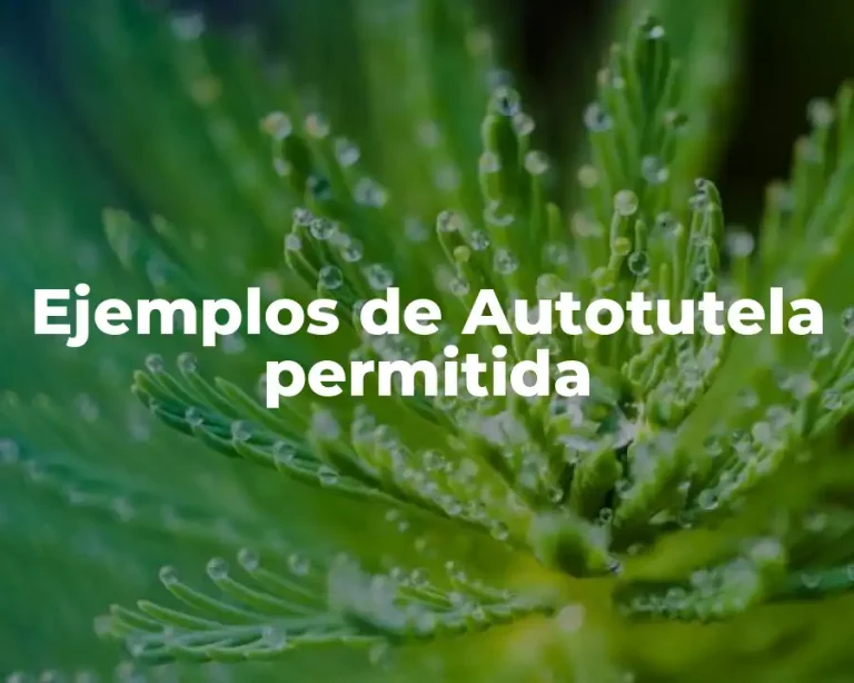 Ejemplos de Autotutela permitida