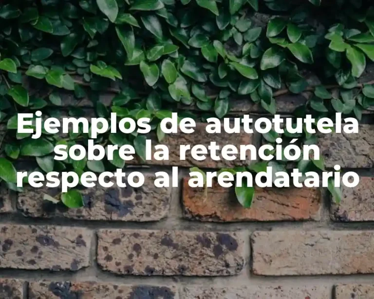 Ejemplos de autotutela sobre la retención respecto al arendatario